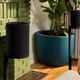Колонка Sonos Era 100 SL Black, Цвет: Black, изображение 11